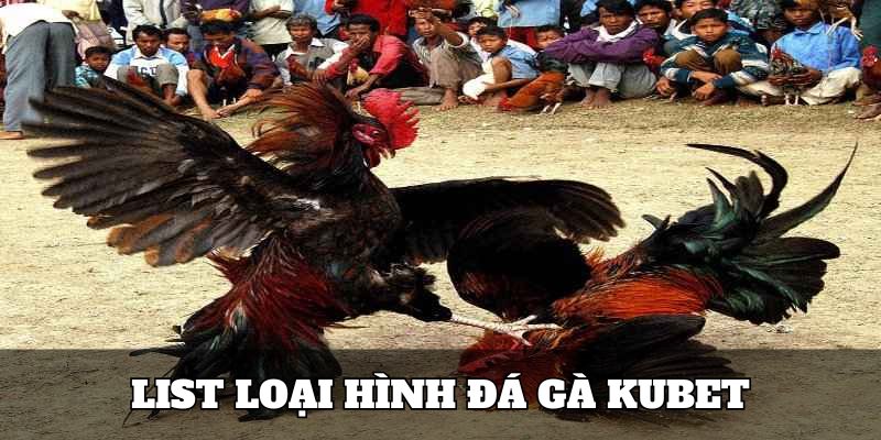 List loại hình đá gà Kubet trên hệ thống